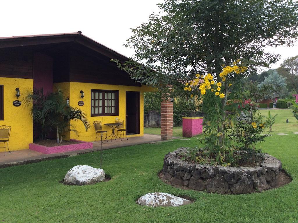 Cabanas La Chicharra Xico Pokoj fotografie
